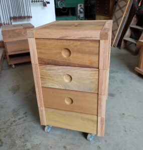 243127200 4391641267585611 7699069188497572918 n 285x300