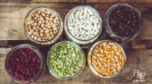 DTN 5 MEDIUM 1 300x165