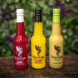 sanstitre3 2 300x300