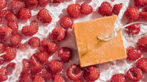 savonsdesaisonsavonsaccueil 300x167